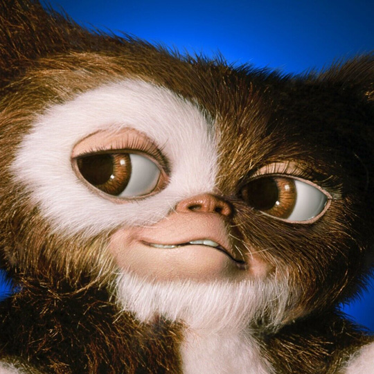 Close up showing the face of Gizmo the mogwai from the classic movie Gremlins
